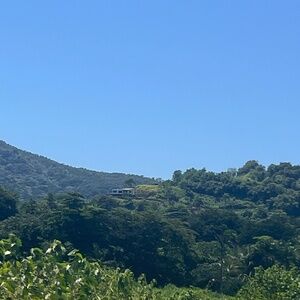 Meet your Posher, Aisha